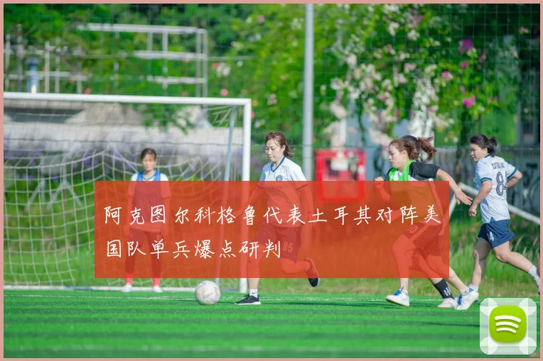 阿克图尔科格鲁代表土耳其对阵美国队单兵爆点研判