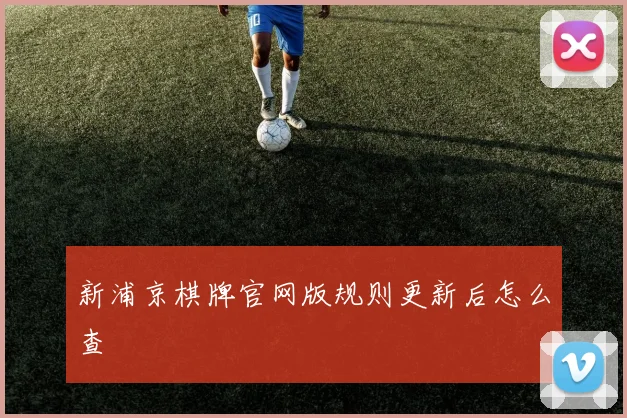新浦京棋牌官网版规则更新后怎么查