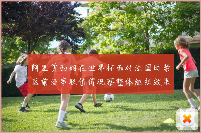 阿里贾西姆在世界杯面对法国时禁区前沿串联值得观察整体组织效果
